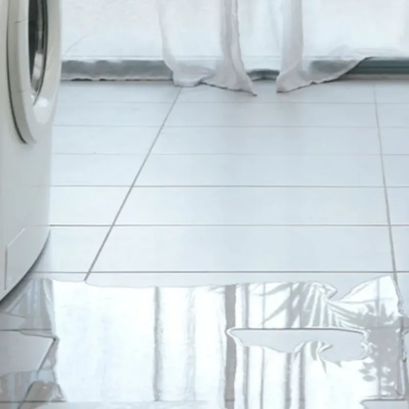 Appliance Leak Cleanup in Sylva, NC
