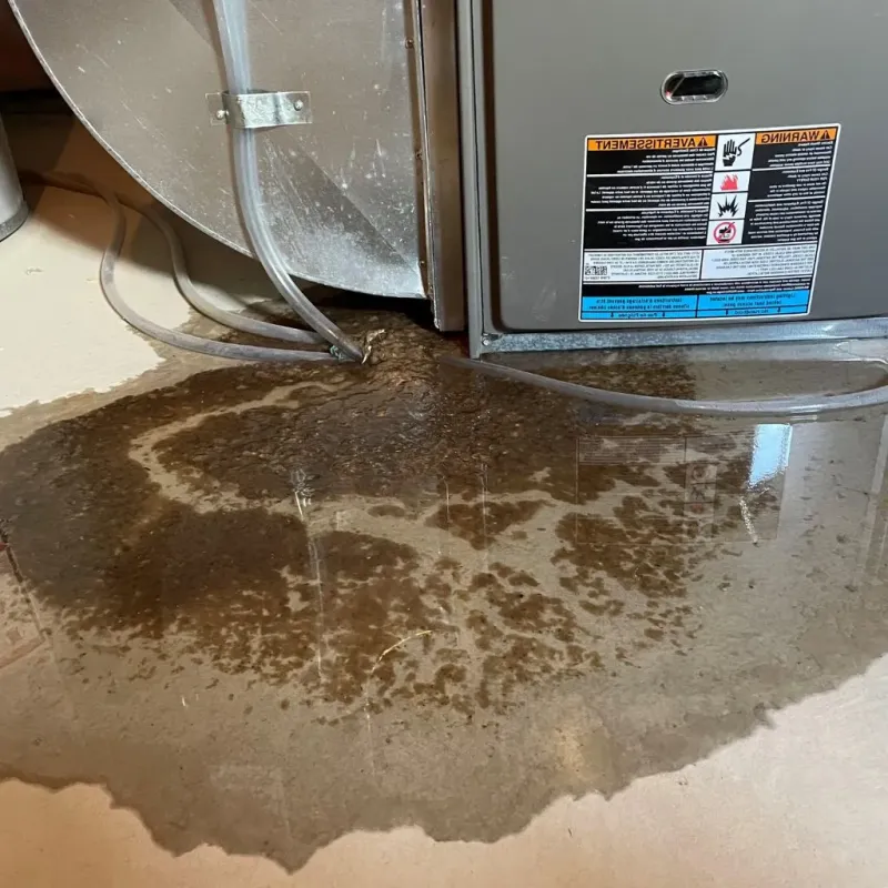 Pipe Burst and Leak Restoration in Sylva, NC